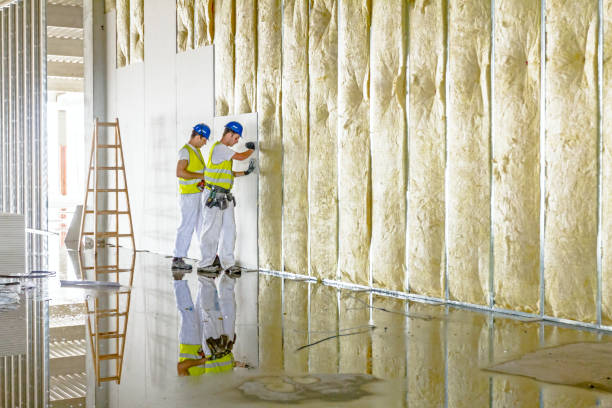 Best Cellulose Insulation in Ocean Park, WA